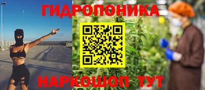 гидра Тверь