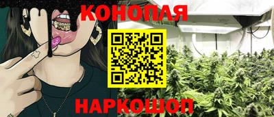 гидра Тверь