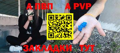 гидра Тверь