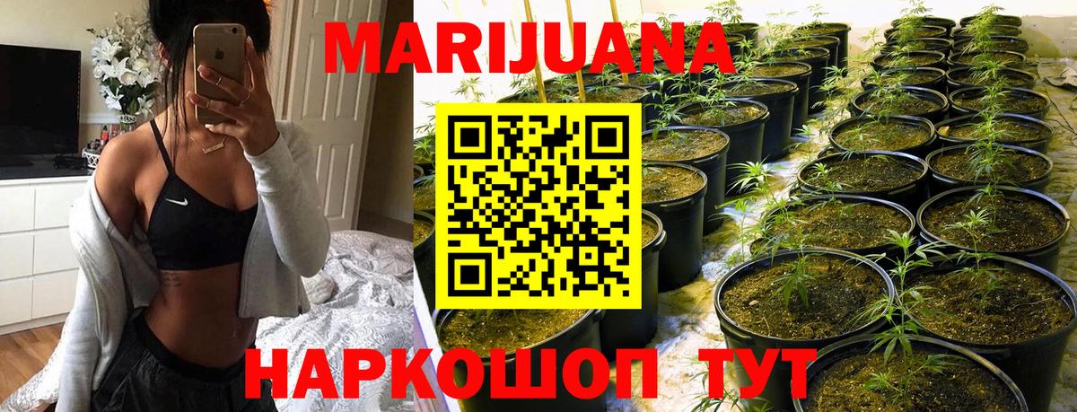 Шишки марихуана White Widow  Шишки марихуана ГИДРОПОН  Конопля Amnesia  Брянск  Вход с VPN  Каннабис LSD WEED 